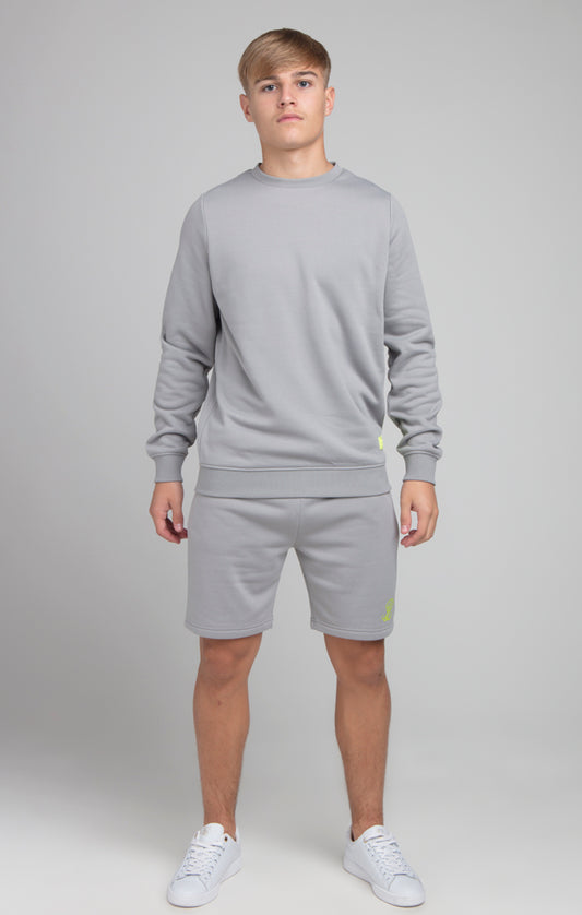 Boys Illusive Grey Crew Sweatshirt